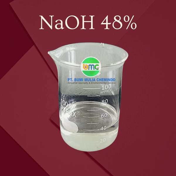 General Chemical Industry Caustic Soda Liquid 48%